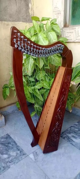 19 Strings Irish Lever Harp Rosewood Hand Engraved Musical Irish Lyre Harp -Case