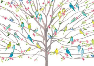 Tree of Budgies Note Cards (14 Cards, 15 Self-Sealing Envel (Poster) (US IMPORT)