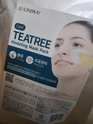 Lindsay Premium Cool Tea Tree Modeling Pack 1kg + Tools Set - K-Beauty