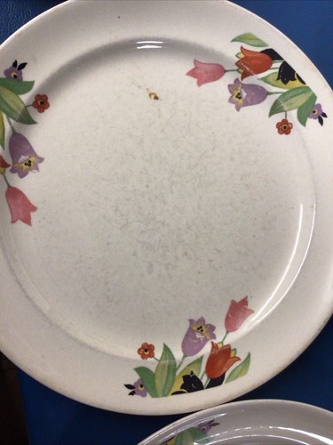 Hall China Crocus 9 1/8" Dinner Plates Set of 13 - Picture 6 of 11