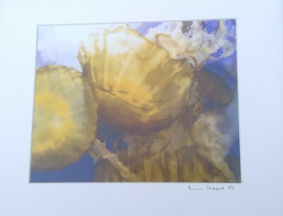Eric Reese Photography Jellyfish 2007 signed fine print Whitefish MT 7.5'' x 9.5''
