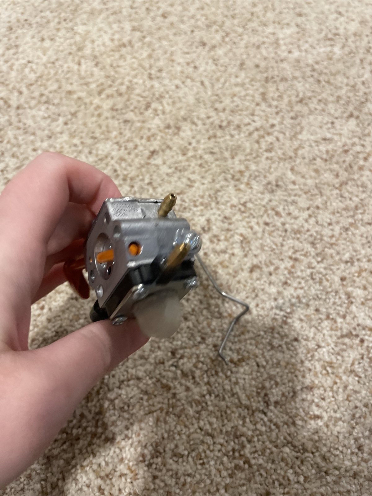 Picture 3 of 6