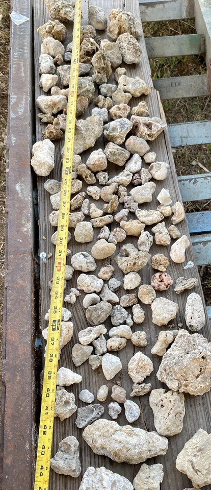 Caja Tarifa Plana Lg 20-30 Lbs - Lote de Piedra Caliza Miniatura Texas Forma Única Foto 2 de 4