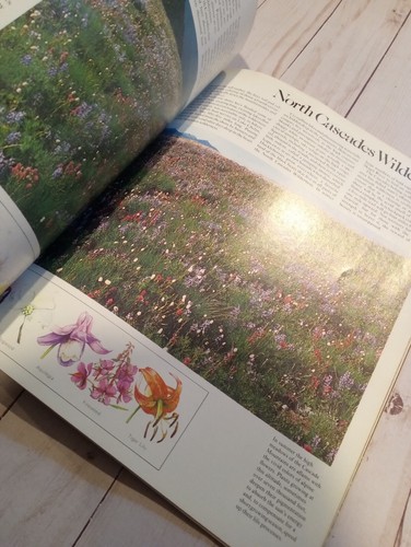 Vintage 1975 Life Our Magnificent Land American Nature Portfolio - Imagen 5 de 8