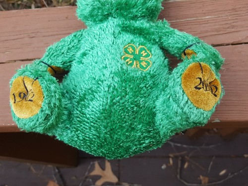 4-H Centennial Commemorative Plush Green Bear with NC Flag by Glory Bee - Picture 4 of 4