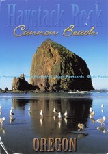 D192325 Oregon Cannon Beach Haystack Rock Smith Western Edward Nuget 2006