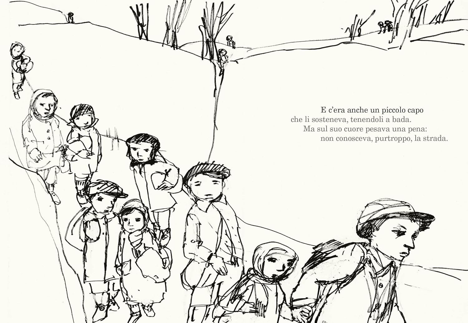 Daniela Almansi Solé Vendrell Carme Berto La crociata dei (Hardback) (UK IMPORT)