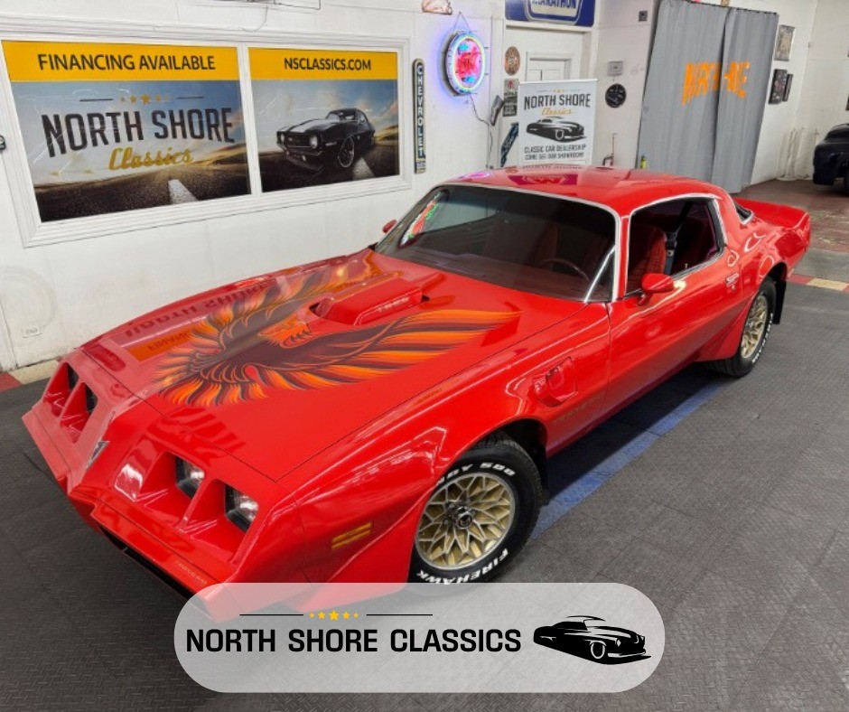 1979 Pontiac Firebird for sale in Mundelein Illinois