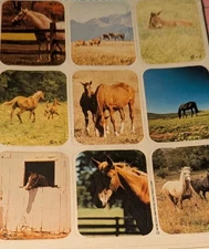 Vintage American Greetings Horse Stickers 1 Sheet READ