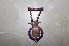 VINTAGE ENAMELED F.O.E. MERIT BADGE PRESENTED BY JAMESTOWN AERIA 816