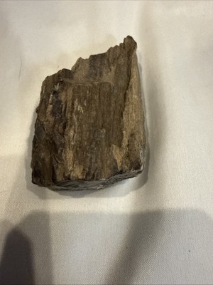 Quality Petrified Wood, Small Piece Nice Looking Small Item