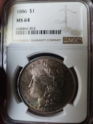 1886 Morgan Silver Dollar Philadelphia Mint NGC MS 64. Gorgeous Toning