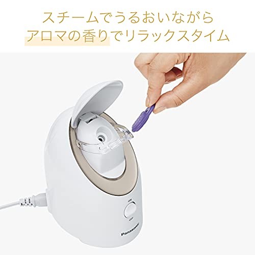 Panasonic Steamer Nano Care Compact Type Gold Tone EH-SA3C-N
