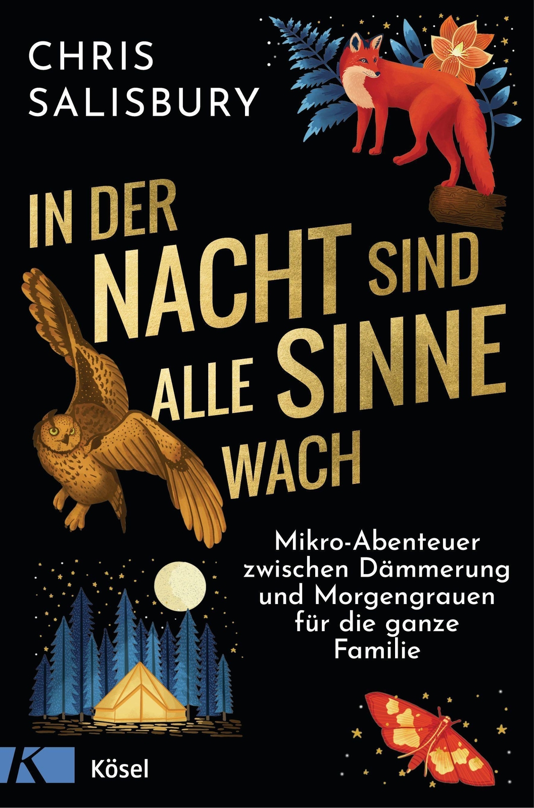 Thumbnail - In Der Nacht Sind Alle Sinne Wach Chris Salisbury