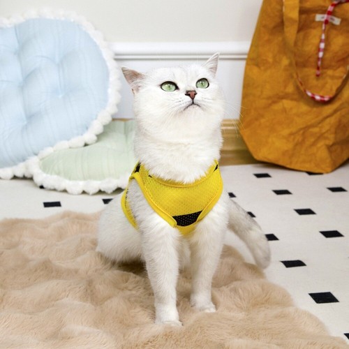 Breathable Pet Apparel Bee Pattern Puppy Clothing Dog T-Shirt Daily Wear - Picture 10 of 14