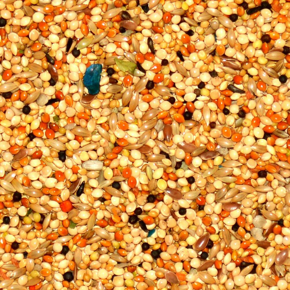Volkman Avian Science Super Finch Bird Seeds 4lbs (2 Bags)