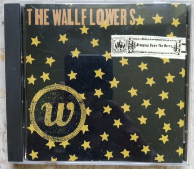 The Wallflowers - Bringing Down The Horse CD