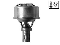 Valeo Thermostat, KüHlmittel FüR Renault