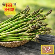 Fresh Asparagus Seeds | Mary Washington | Heirloom Non-GMO | Vegetable Seeds