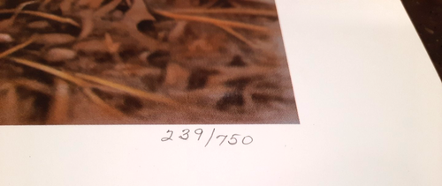 Impresión artística firmada y numerada de Jerry Gadamus Barnyard Buddies 16" x 6" LE 750 - Imagen 7 de 9