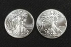NobleSpirit (LG) Desirable American SILVER Eagle Pair 2012 Superb GEM BU