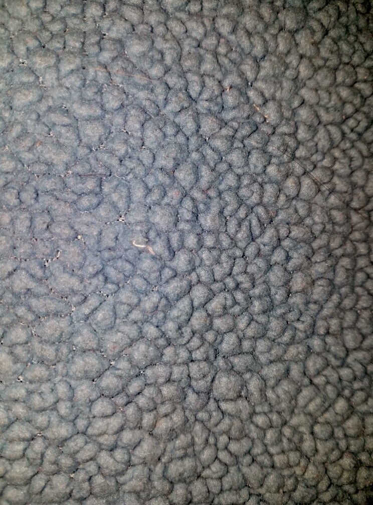 Picture 8 of 11