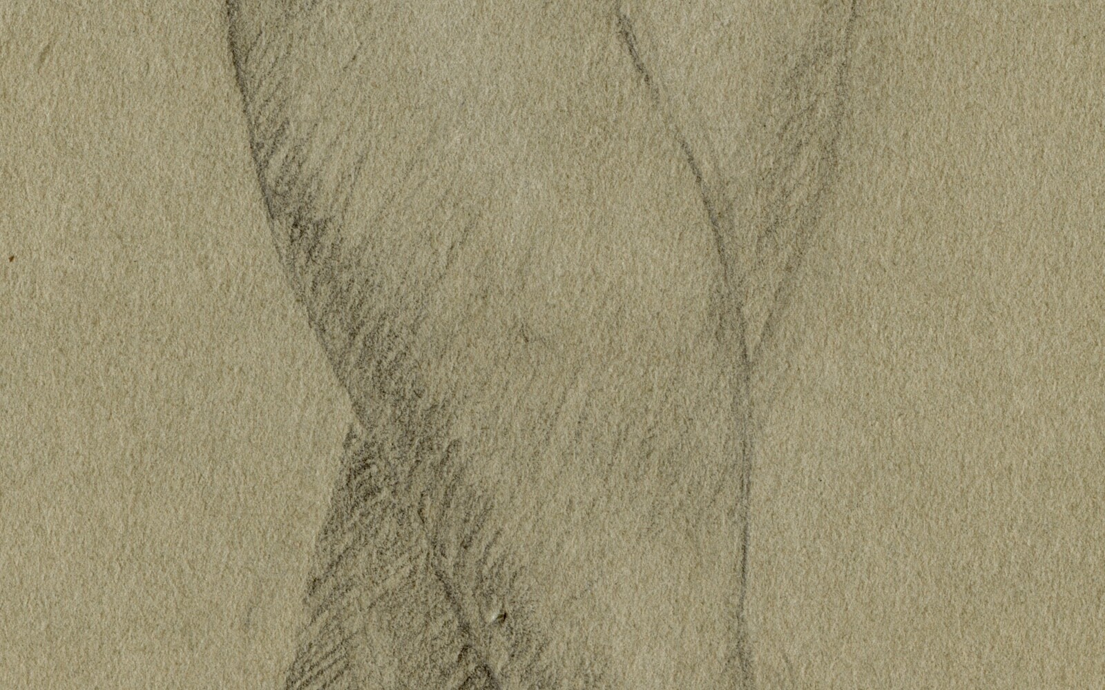 Picture 11 of 14