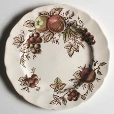 Johnson Brothers Harvest Time Brown Multicolor Salad Plate 5894903