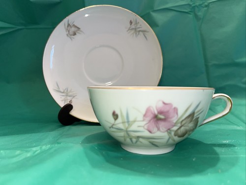 Cup & Saucer Set * Gebruder Winterling Roslau * Bavaria