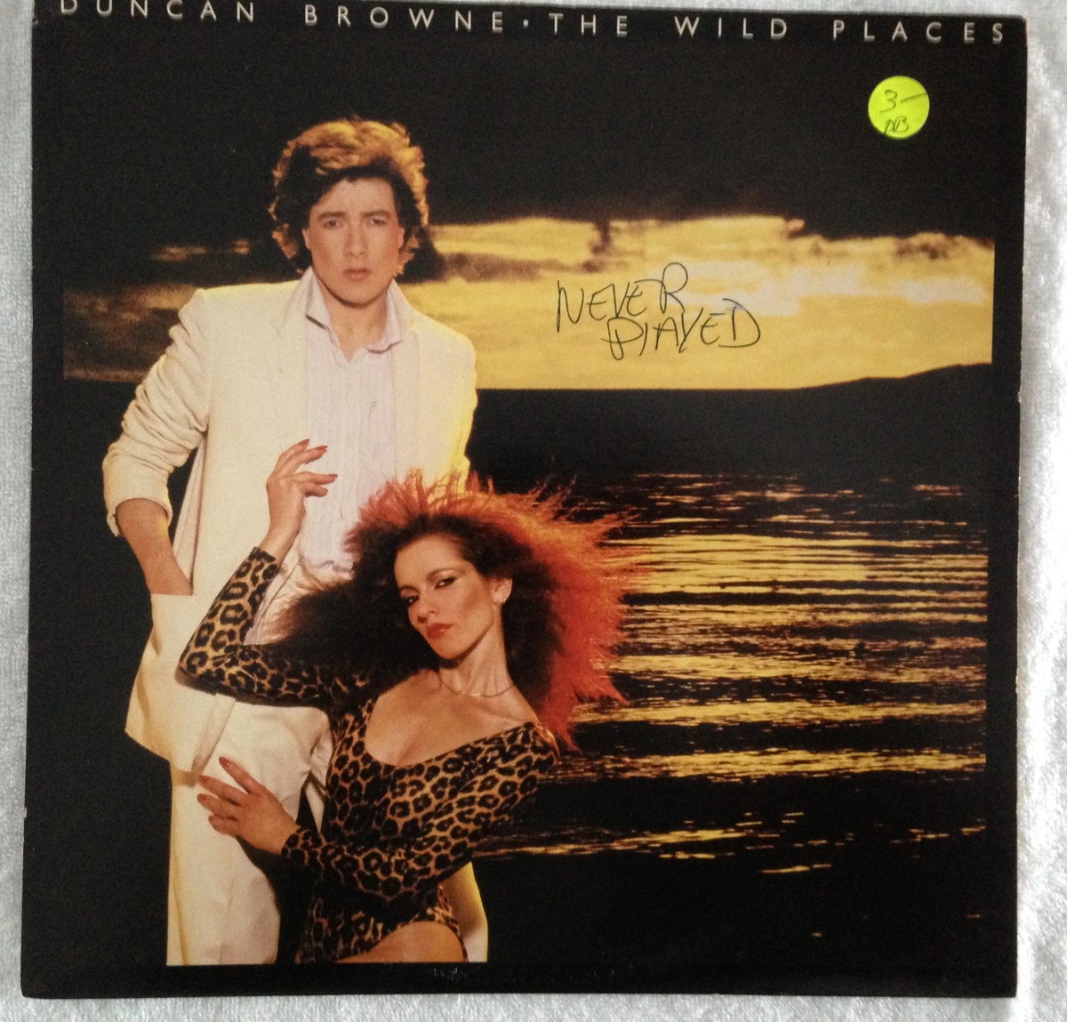 Duncan Browne 「黎明」 EOP-80841 Duncan Browne- The Wild Places 1978 PRO-A-798 Vinyl 12
