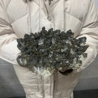 Foto 5 di 8