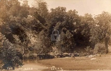 c1910's View of The Cliff Road Luray Virginia VA RPPC Photo Postcard COPY
