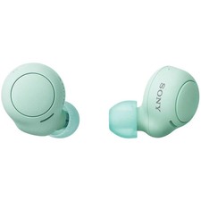 Sony WF-C500 Wireless Earbuds, IPX4, Lightweight 5.4g, Ice Green, From Japan