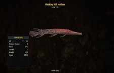  Xbox All New Burning Springs Fish