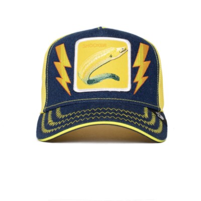 ⚡️ Goorin Bros Shocker Limited Edition Hat! Eel Alternating