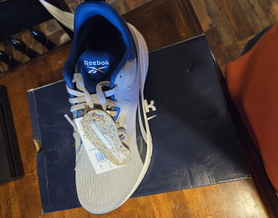 Reebok Runner 4 4E Gray/Blue/Black 100062726 Mesh Low Top Lace-Up Men