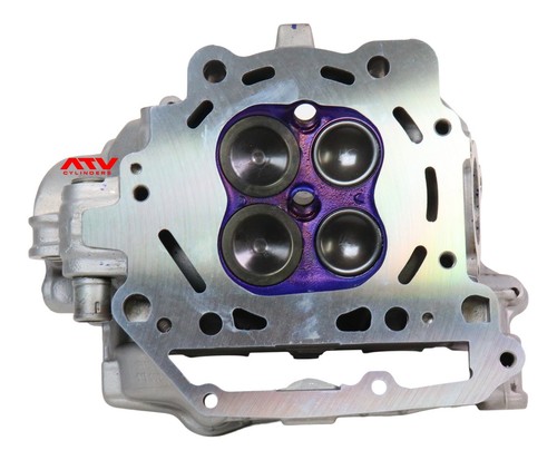 Genuine OEM 2008-2015 Cam-Am DS450 Cylinder Head Valves Top End Engine Motor