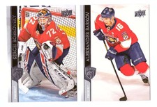 2020-21 Upper Deck (Base 1-200, 251-450) Hockey Team Set - Florida Panthers