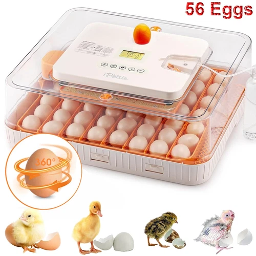 Eggs Incubator Chicken Quail Hatcher Incubators Automatic/Manual Hatching Eggs - Picture 67 of 78
