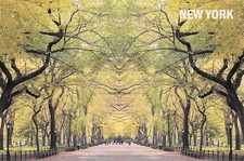 ETATS UNIS NEW YORK CENTRAL PARK HOME ALLEY