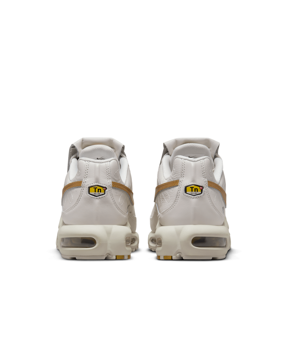 Nike Air Max Plus Tiempo Phantom and Metallic Gold HV2541-001