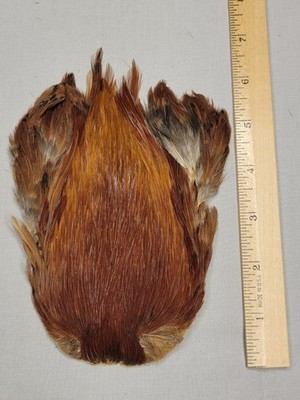 Lot 40,  Grade B,   Natural India Rooster Streamer Neck Cape Feathers