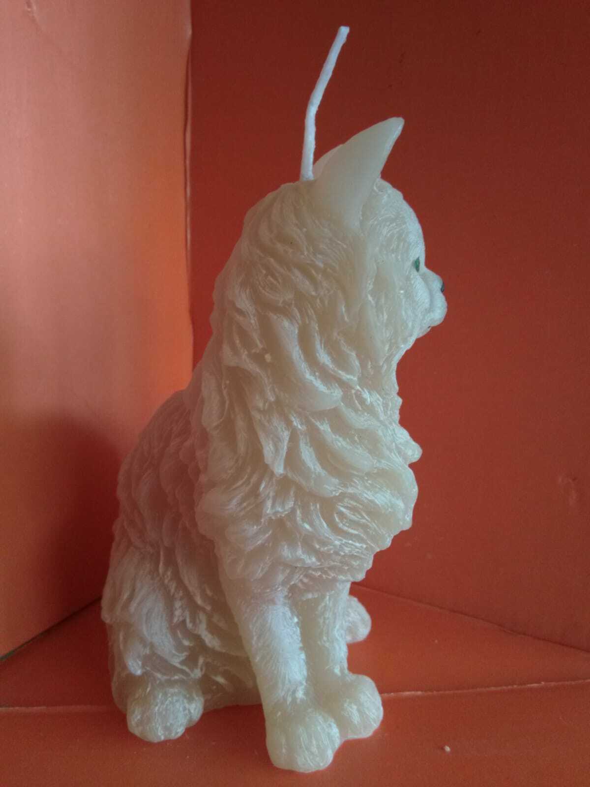 Foto 4 di 6