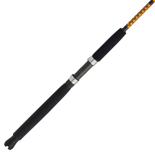 Bigwater Conventional Rod One-piece Stainless Steel Guides Comfortable EVA Grips