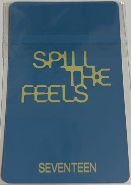 SEVENTEEN 12th Mini ALBUM 