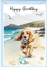 Cocker Spaniel Dog Birthday Card blank inside. Available in 2 sizes, A6 & A5