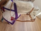 Bild 6 von 11