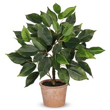 Pequeña maceta artificial de terracota para planta de seda de árbol de baniano de 13 pulgadas