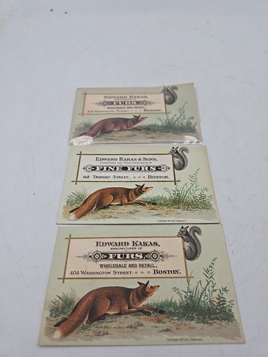 1877 PRANG & CO TRADE CARD da BOSTON, EDWARD KAKAS FURS alle 16 ESTATE St F301 - Foto 2 di 15