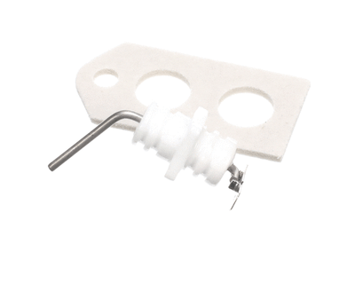 Rinnai 104000022 Flame Rod and Gasket Kit for sale online | eBay